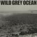 Sam Fender - Wild Grey Ocean