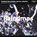 Sander Van Doorn & Selva & Macon feat. Chacel - Raindrops