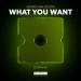 Sander van doorn - What You Want
