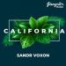 Sandr Voxon - California