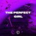 Scott Rill - The Perfect Girl (Techno Version)
