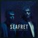 Seafret & James Morrison - Driftwood