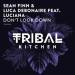 Sean Finn x Luca Debonaire feat. Luciana - Dont Look Down (Radio Edit)