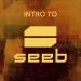 Seeb - What Do You Love (feat. Jacob Banks)
