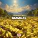 Sergey Oblomov - Bananas (Moveton Remix)