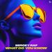 Sergey Raf - What Do You Know
