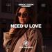 Sergio Tatoni, Hakdeep - Need U Love