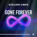 Setou & Senyo & B Martin - Gone Forever