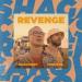 Shagakov feat. Chekson - Revenge