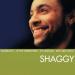 Shaggy - Boombastic