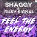 Shaggy & Busy Signal - Feel The Energy