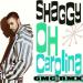 Shaggy - Oh Carolina