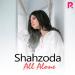 Shahzoda, DJ SMASH, David Latour - Между небом и землей