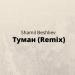 Shamil Beshliev - Туман (Remix)