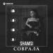 Shamsi - Соврала