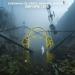 Sherman de Vries, Navaro & Sherine - Before I Die