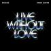 Shouse & David Guetta - Live Without Love