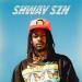 Shwayze - Planes (feat. The Hip Abduction)