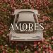 SHYLN - Amores