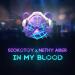 SICKOTOY & Nethy Aber - In My Blood