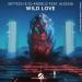 Skytech & Dj ÂNgelo feat. Aleesia - Wild Love