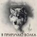 Слава Благов - Я приручаю волка