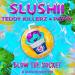 Slushii feat. Teddy Killerz & Pav4n - Blow The Socket