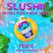 Slushii, Nitro Fun & Bok Nero - Push It
