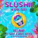Slushii x Dr. Ozi feat. Gold x Mikey Rotten - Villainy