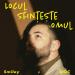 Smiley feat. DOC - Locul Sfinteste Omul (Paul Damixie Remix)