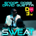 Snoop Dogg feat. David Guetta - Sweat (Ayur Tsyrenov DFM Remix)