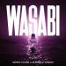 Sonny Flame feat. Elemer & Casian - Wasabi