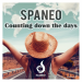 Spaneo - Counting Down The Days (Radio Edit)