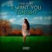 Stefre Roland - I Want You Tonight