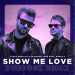 Steve Angello & Laidback Luke & Dubdogz feat. Robin S - Show Me Love (Dubdogz Remix)