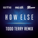 Steve Aoki feat. Rich The Kid & Ilovemakonnen - How Else (Todd Terry Remix)