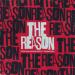 Steve Aoki, Sound Rush - The Reason (feat. Hoobastank)