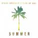 Steve Kroeger feat. Life of Kai - Summer