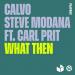 Steve Modana & Calvo feat. Carlprit - What Then