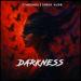 STXRSHOV & Daria Kupr - Darkness