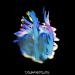 Sub Focus feat. ARCO - Vibration (One More Time)