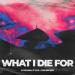 Svniivan, 2 vive & Jon Becker - What I Die For
