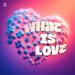 SYNFLO, Niki Four - What Is Love