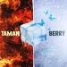 Taman & BERRY - Дискотека 90-х