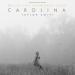 Taylor Swift - Carolina (Video Edition)