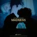 Teddybear & Milan Gavris - Madness