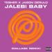 Tesher & Jason Derulo & DallasK - Jalebi Baby (DallasK Remix)