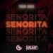 The Him feat. Nightline - Senorita