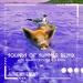 The Movement, J Boog & Slightly Stoopid - Sounds of Summer (Johnny Cosmic Remix)