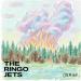 The Ringo Jets - Orman